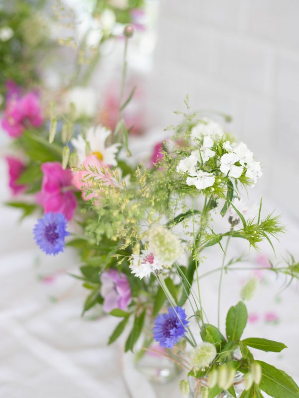 English_Garden_Party_Flowers