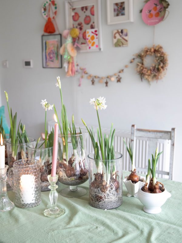 Paperwhites_on_a_table