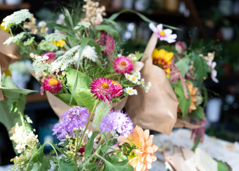 Autumn_Flowers