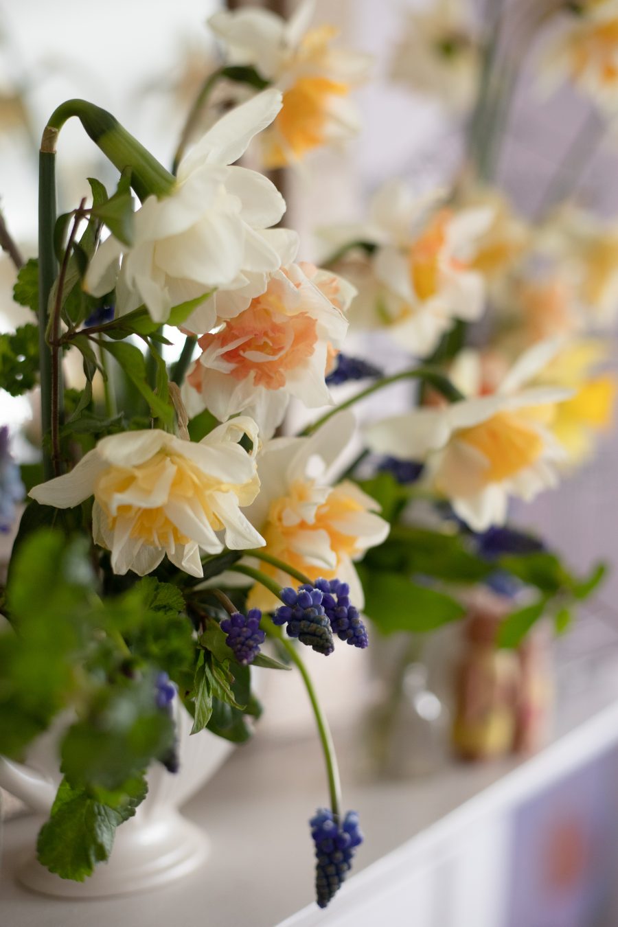 Daffodil decorations
