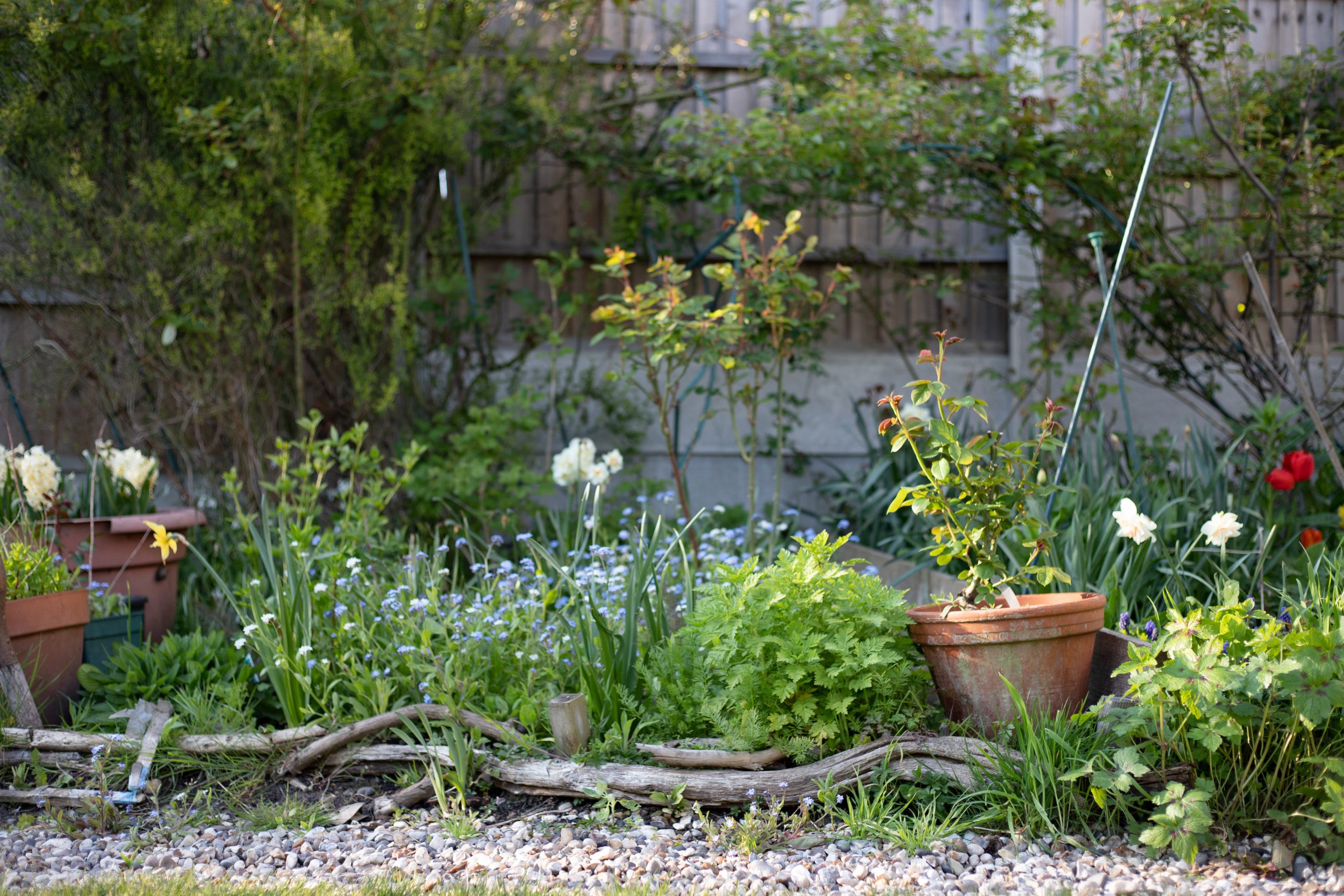 Lotts And Lots A Spring Garden Tour