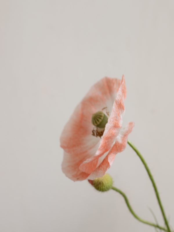 British grown poppies for wedding