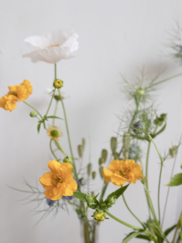Single stem bud vase arrangement