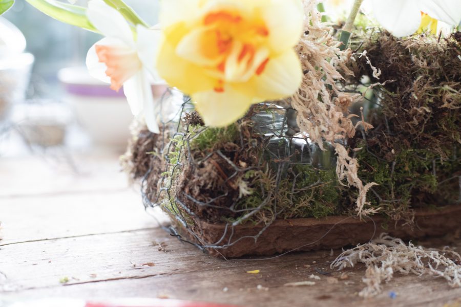 Sustainable Floristry: Spring Mossy Meadow Centrepiece - The Mechanics