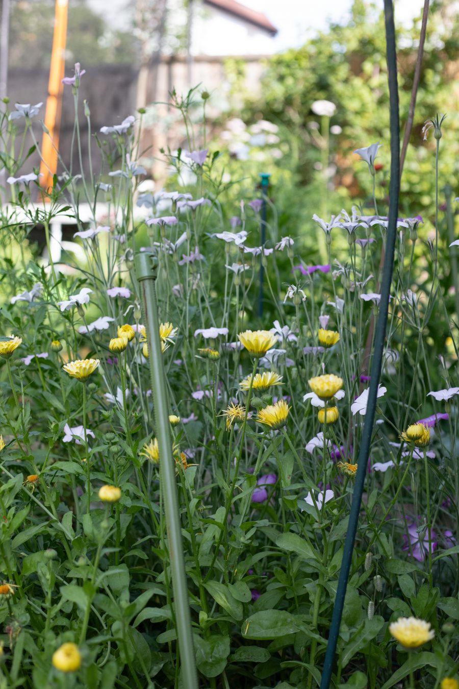 June wedding flowers. Leigh-on-sea