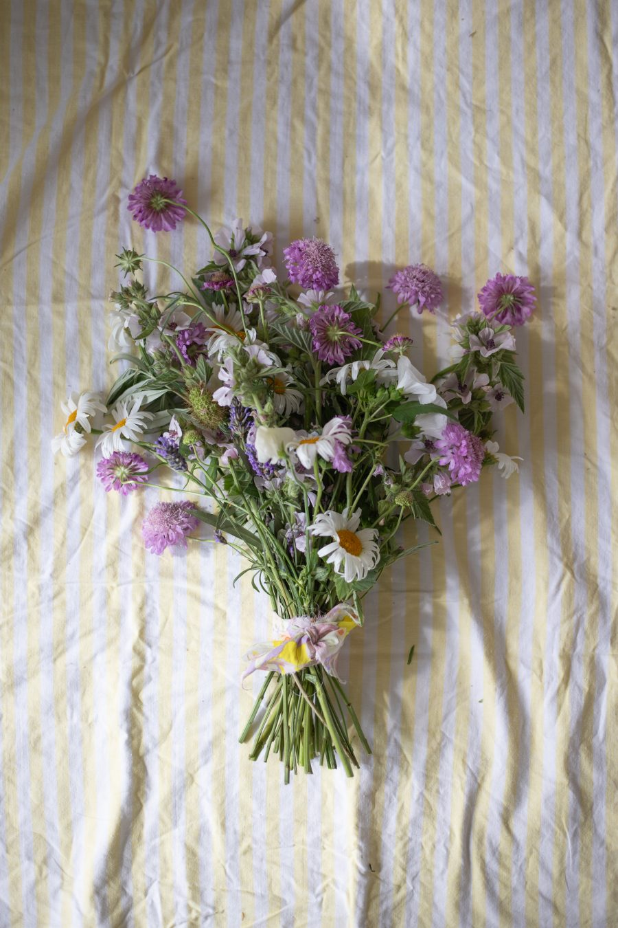 British Grown Flowers : June Bouquet