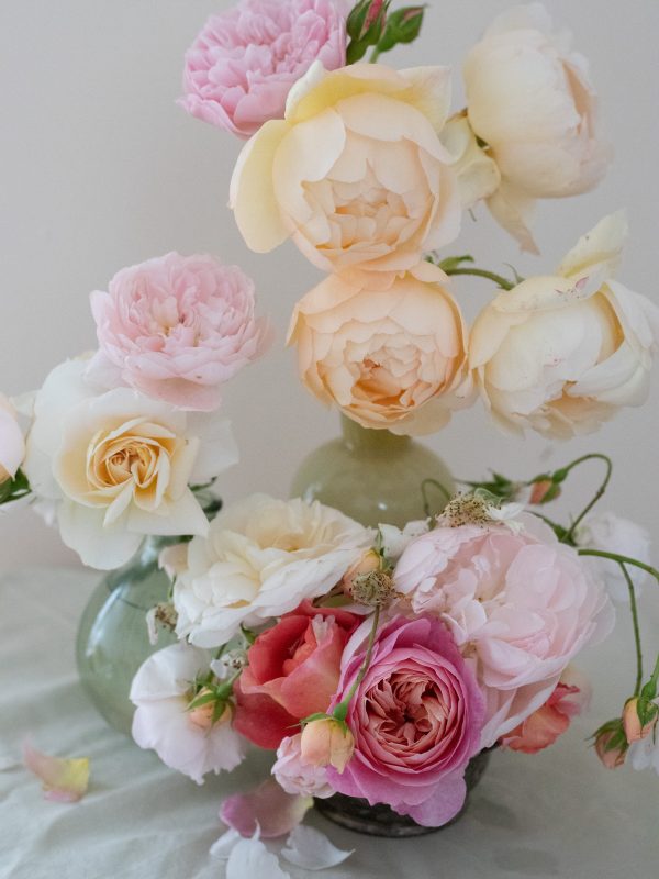 June Roses, Leigh-on-Sea