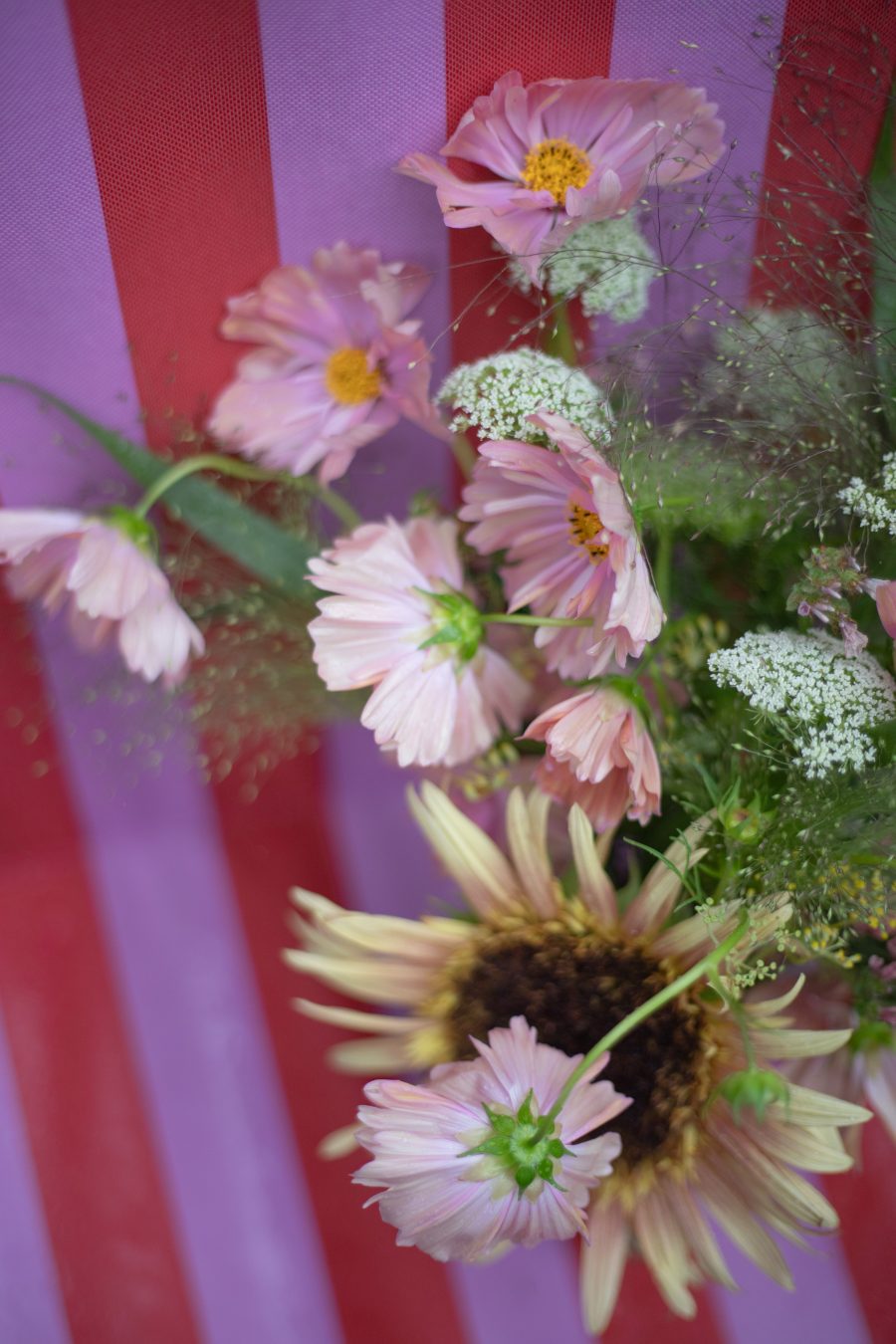 July cut flower bouquet with Cosmos