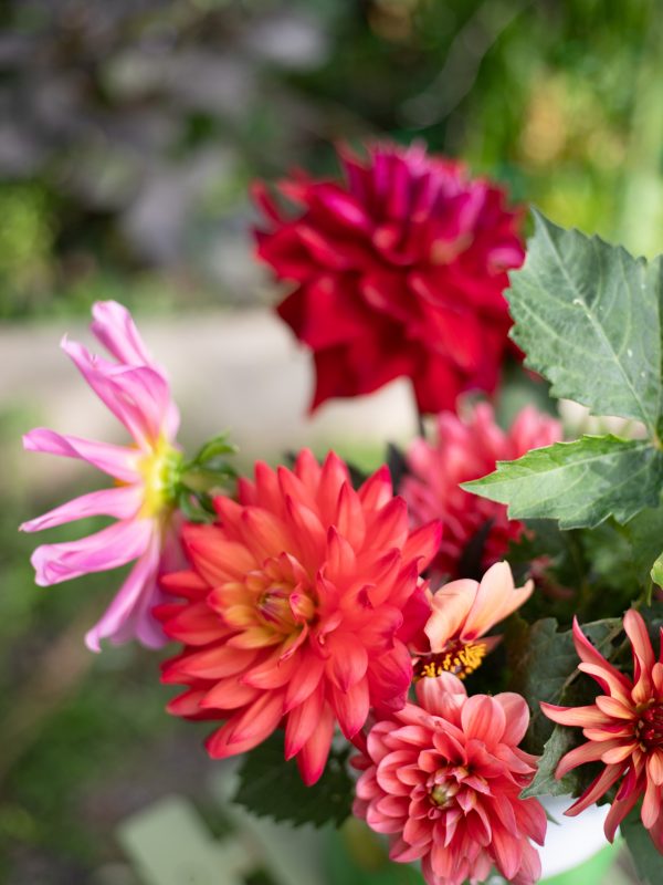 Dahlias for Leigh-on-Sea wedding