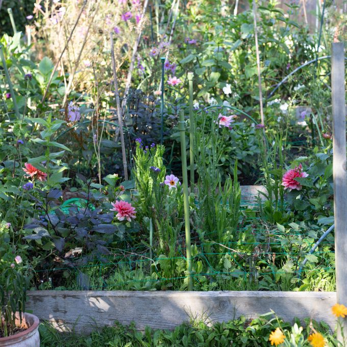 The October Cutting Garden