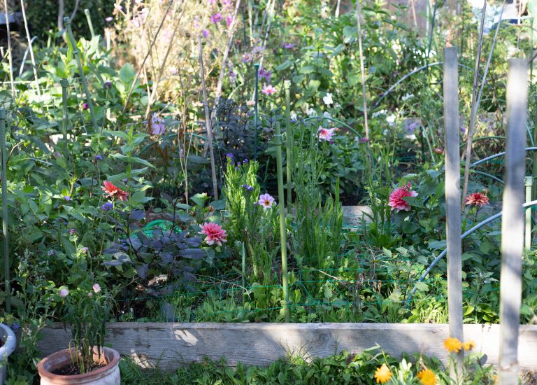 The October Cutting Garden