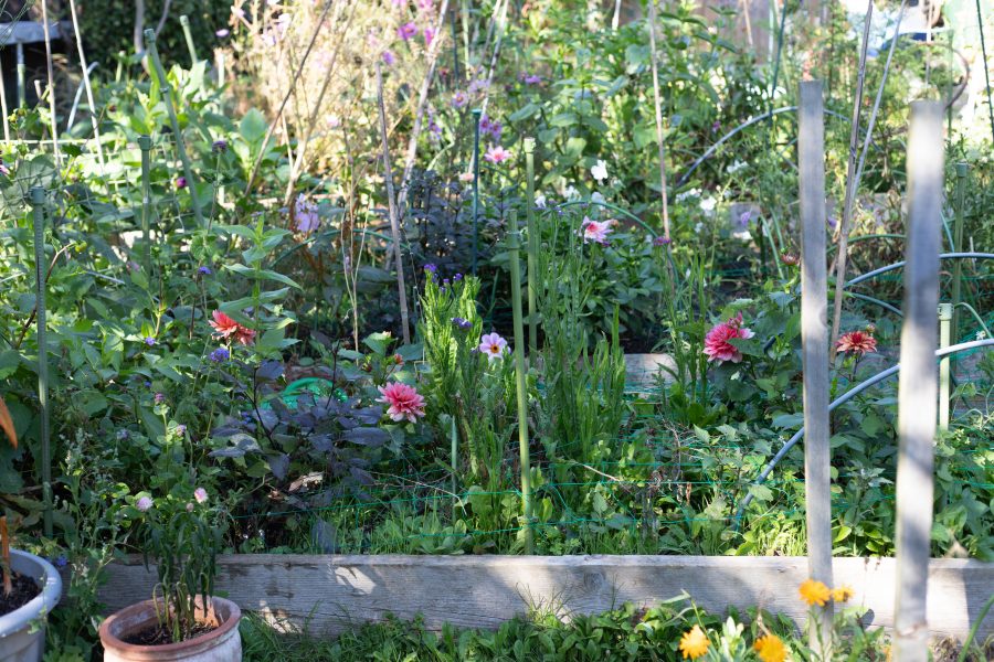 The October Cutting Garden