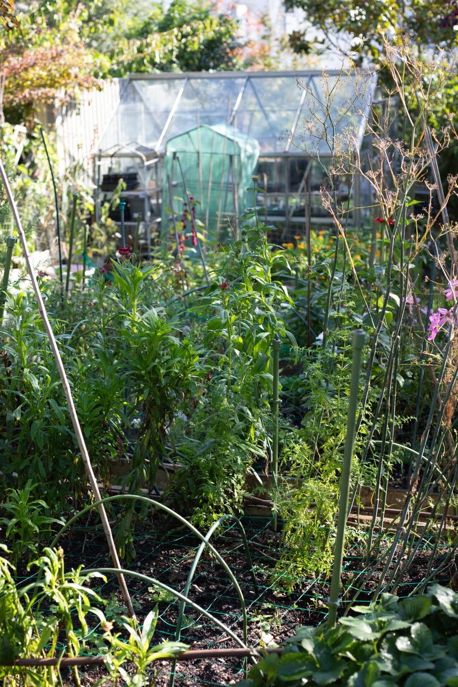 The October Cutting Garden
