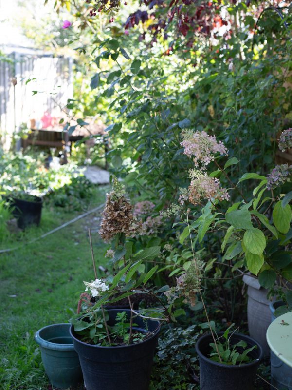 The October Cutting Garden