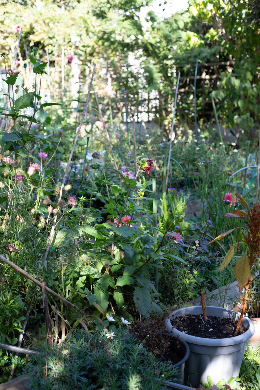 The October Cutting Garden