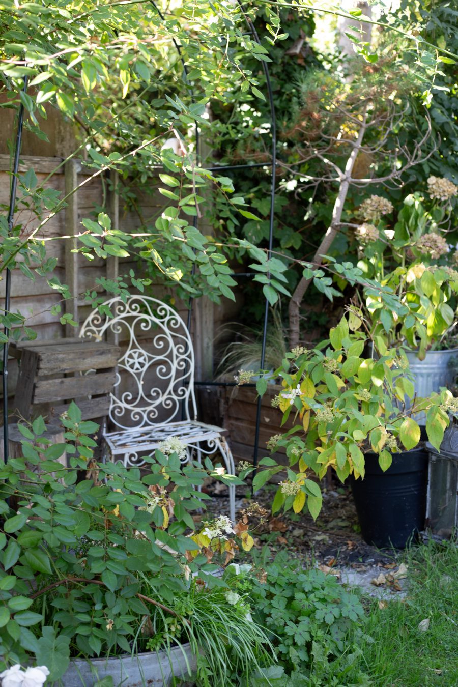 The October Cutting Garden