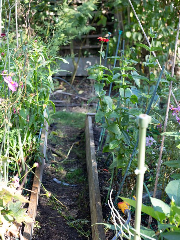 The October Cutting Garden