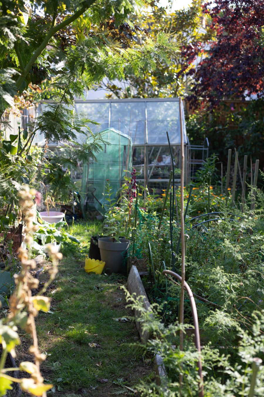 The October Cutting Garden