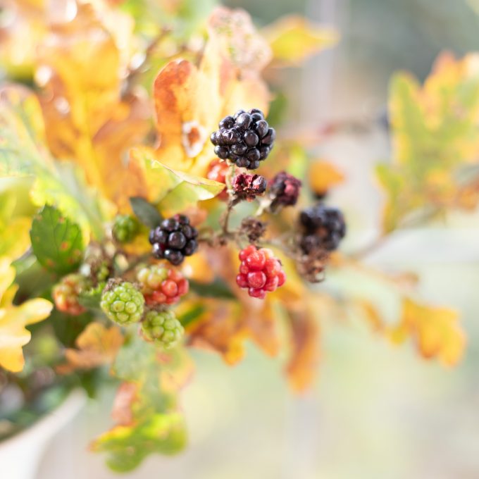 Simple Autumn floristry ideas