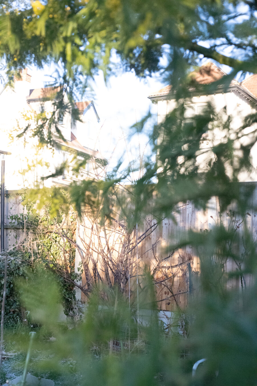 Jobs to do in the Cutting Garden : January 2026