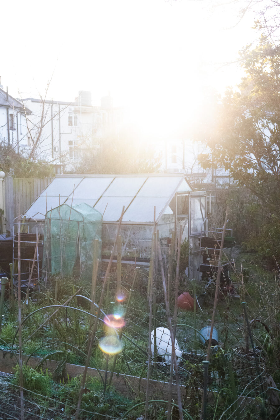 Jobs to do in the Cutting Garden : January 2026