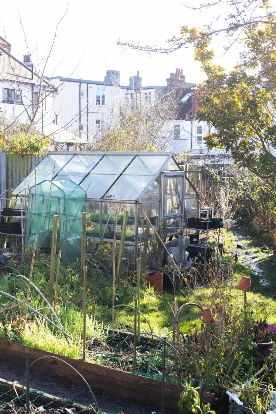 The Cutting Garden : February 2026