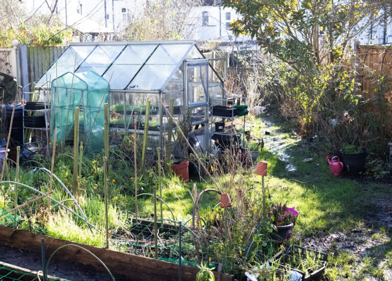 The Cutting Garden : February 2026