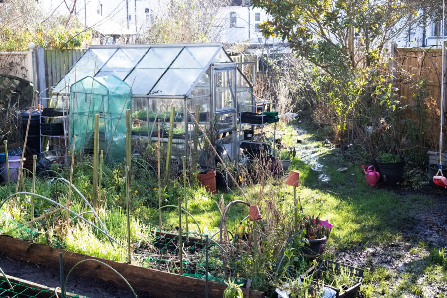 The Cutting Garden : February 2026