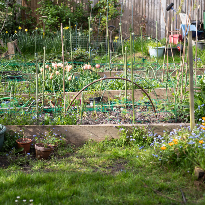 The Cutting Garden : April 2026