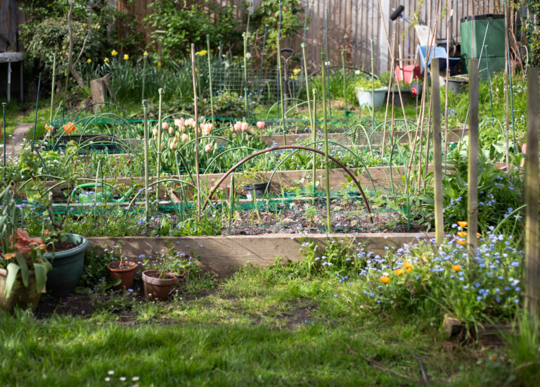 The Cutting Garden : April 2026