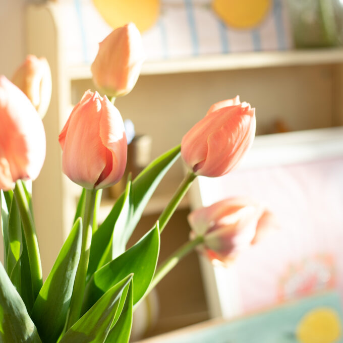 Lotts and Lots Social Media Spring Clean