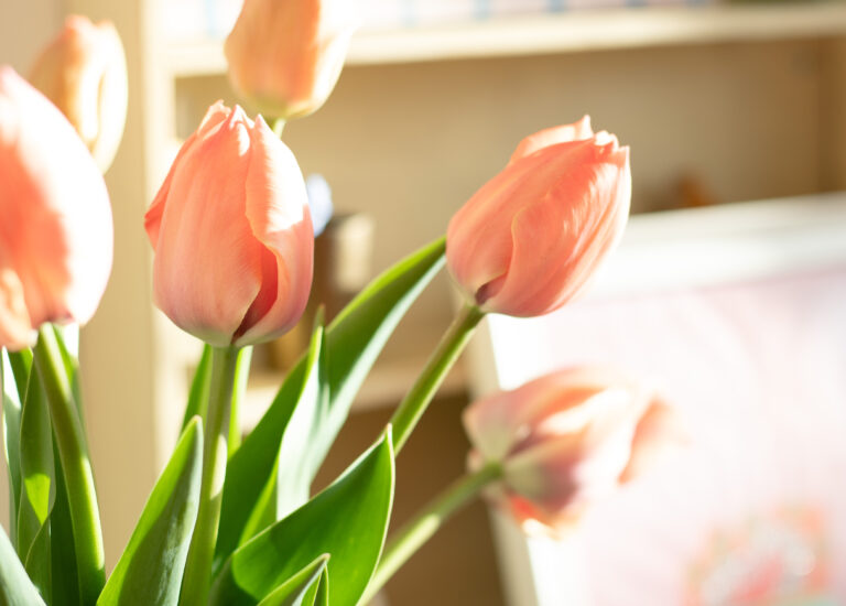 Lotts and Lots Social Media Spring Clean