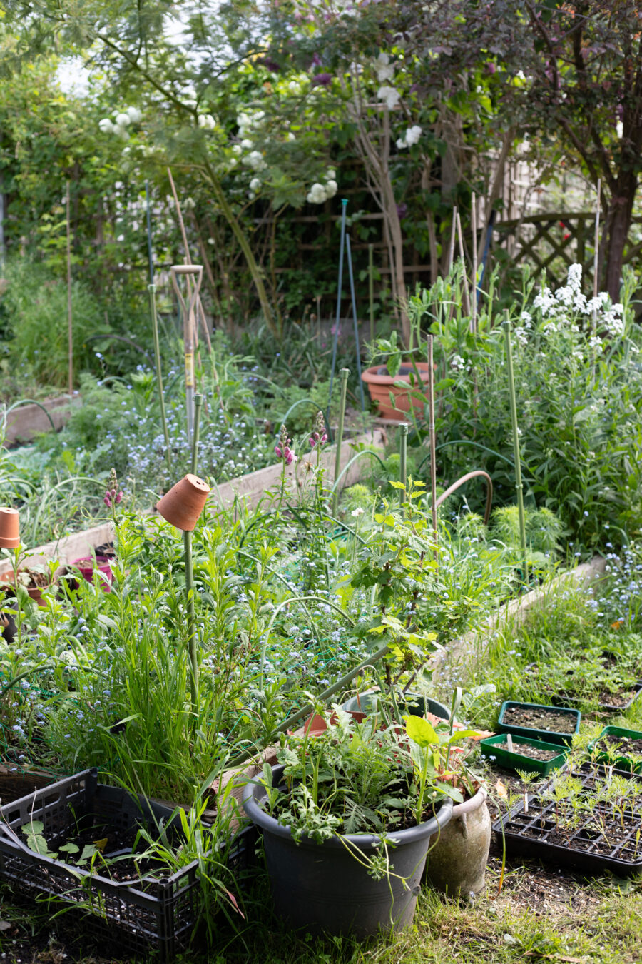 The Cutting Garden : May 2026