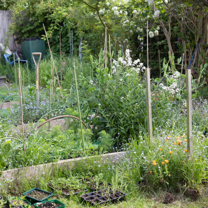The Cutting Garden : May 2026