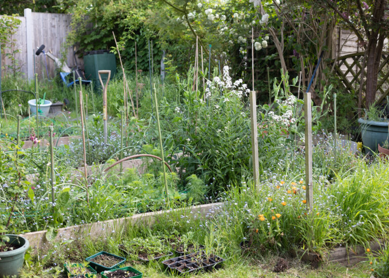The Cutting Garden : May 2026