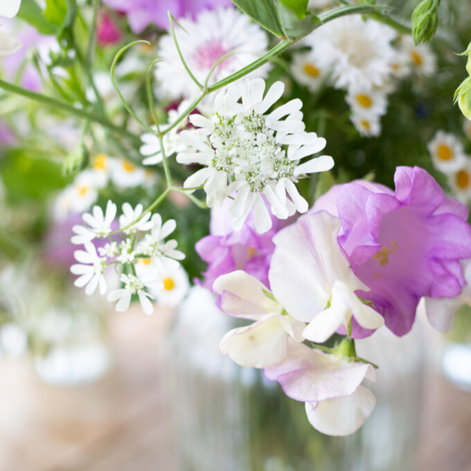 favourite june cutt flowers