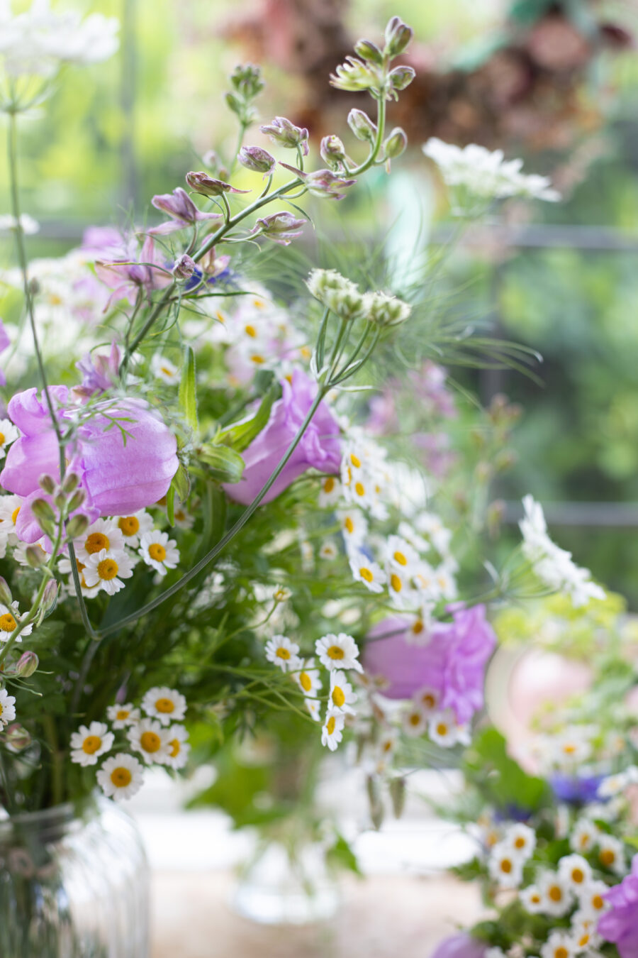 Campanula: Favourite Flowers of 2026 (so far)