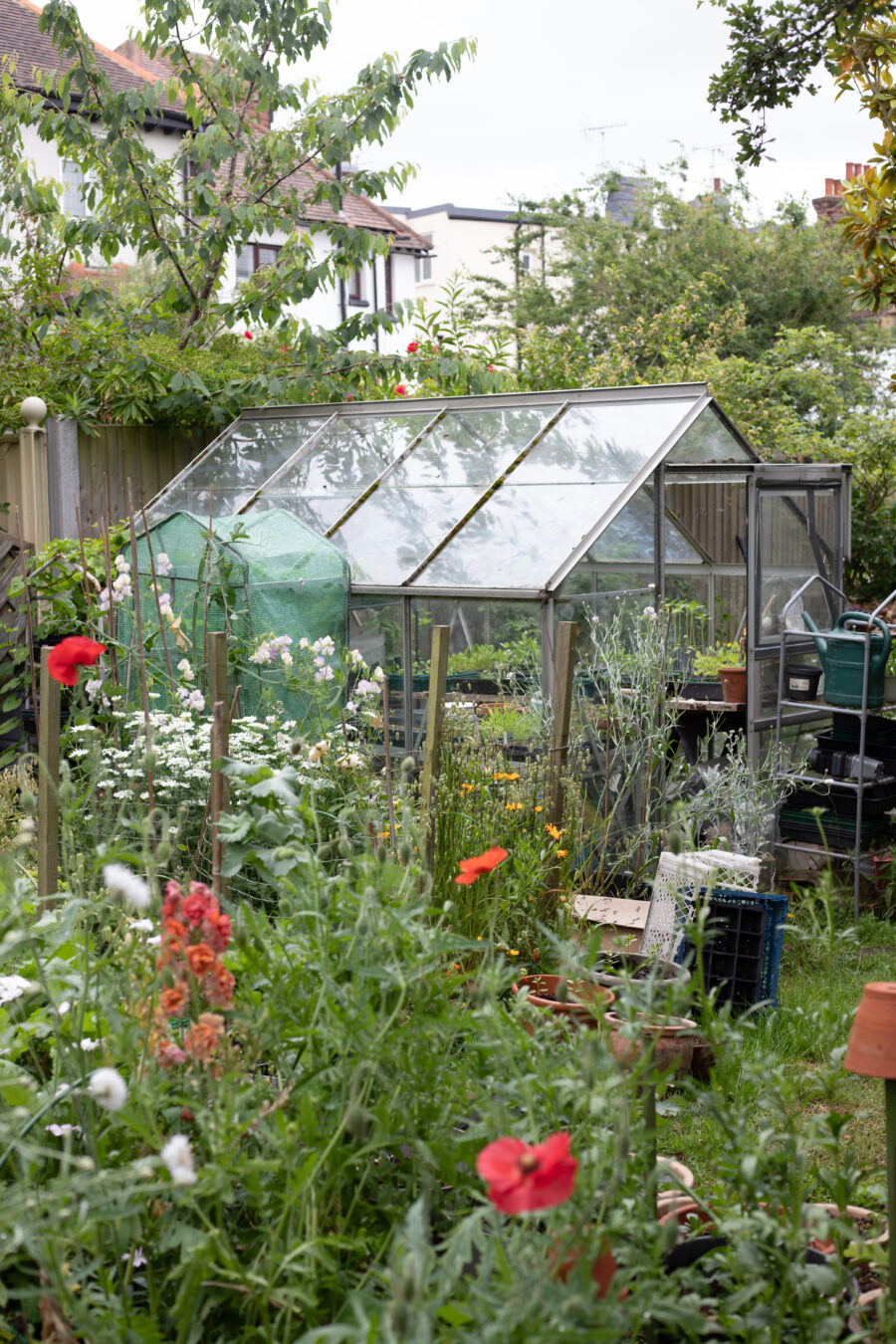 The June Cutting Garden