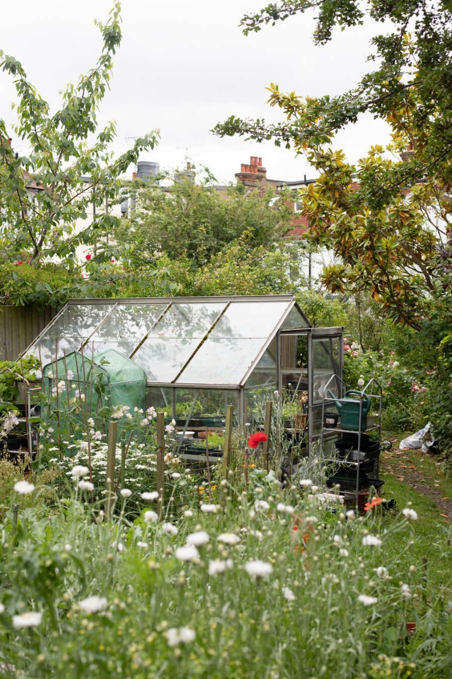 The June cutting garden