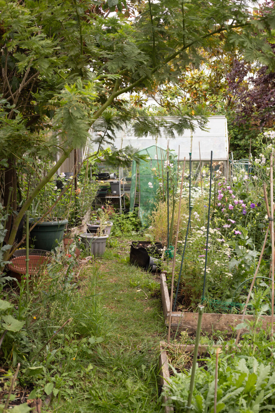 The June Cutting Garden