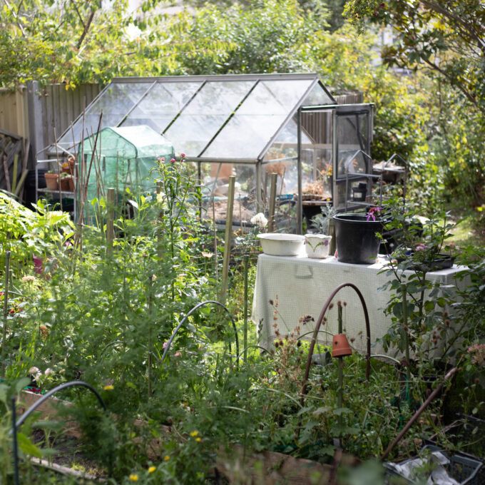 The Cutting Garden : An end of summer catch up